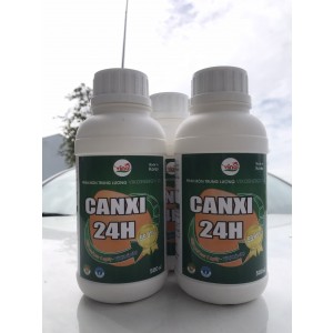 CANXI 24H